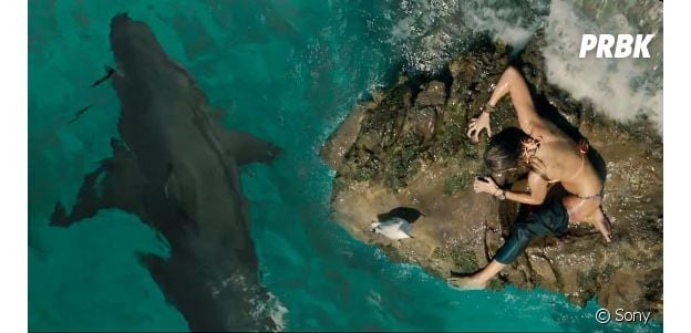 instinct de survie et les requins les plus terrifiants du cinema purebreak