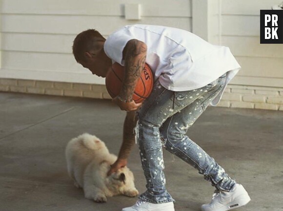 Justin Bieber poste des photos de son chien Todd sur la page Instagram de celui-ci... trop mignon !