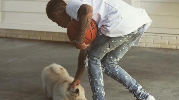 Justin Bieber : son chien a son propre compte Instagram... et vous allez craquer 🐶