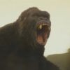 Kong : nouvelles images du film