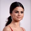 Selena Gomez magnifique aux American Music Awards le 20 novembre 2016