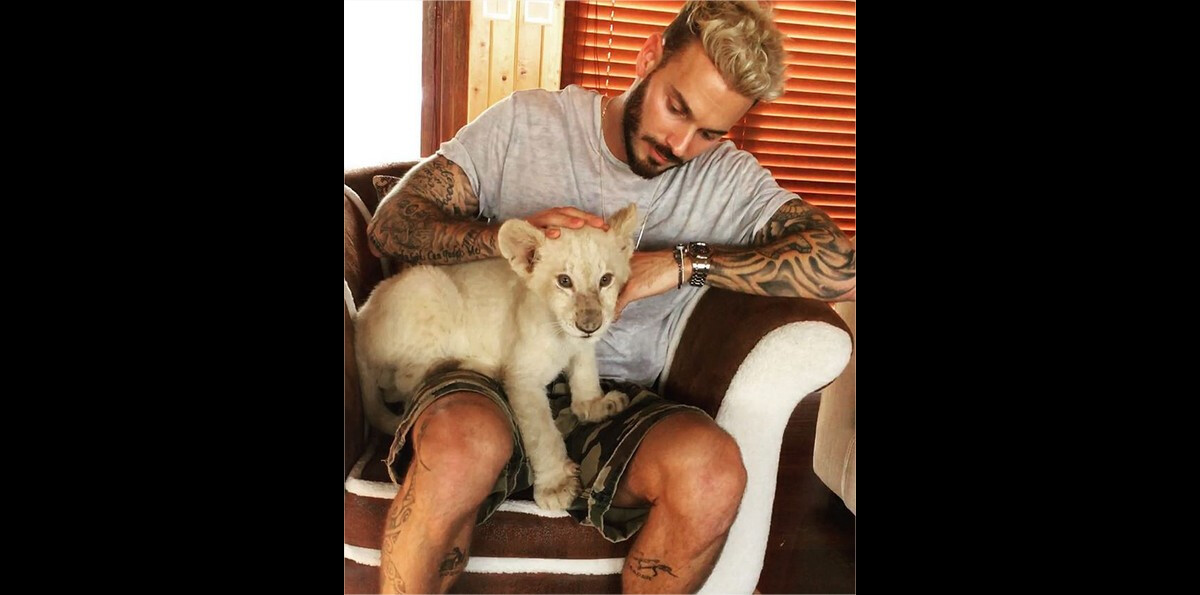 M pokora puma suede best sale