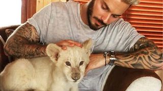 M. Pokora : ses photos avec des animaux sauvages divisent les fans