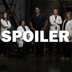 Grey's Anatomy saison 13 : un départ, un licenciement et des retrouvailles dans le final
