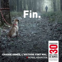 #NONALABANDON : la vidéo poignante de 30 Millions d'Amis contre la lâcheté et l'abandon d'animaux