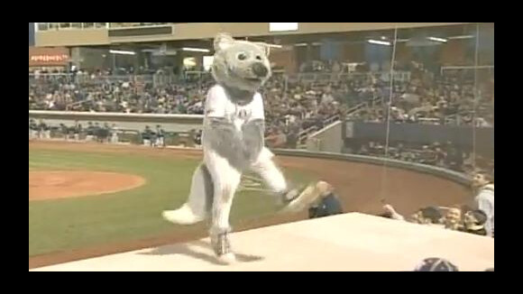 Une mascotte danse, danse ... et c'est la chute !!
