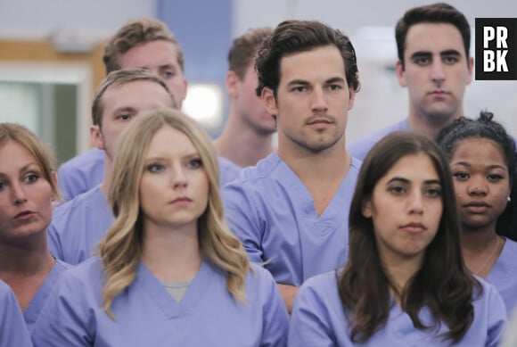 Grey's Anatomy saison 14 : découvrez les nouveaux internes
