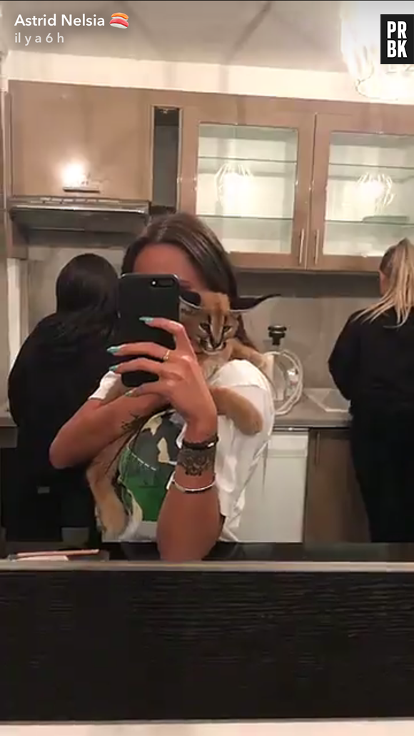 Astrid Nelsia en pleine polémique après avoir fait la promo d'un vendeur d'animal sauvage