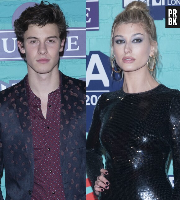 Shawn Mendes et Hailey Baldwin en couple ? Ils auraient confirmé les rumeurs aux MTV EMA 2017 !