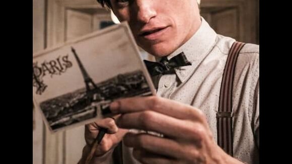 Les Animaux Fantastiques 2 : le film supprimera la traduction du mot "Moldu", les fans en colère