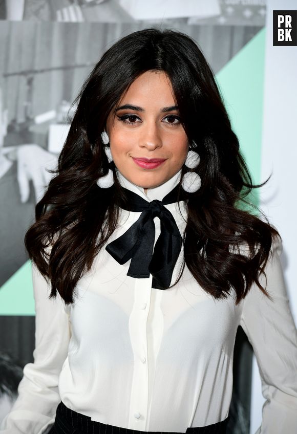 Camila Cabello se retrouve en pleine polémique raciste à cause d'anciens messages !