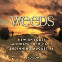 Weeds saison 6 ... De nouvelles images de la série avec ce trailer