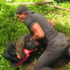 The Island Célébrités : Mike Horn choque les internautes avec un caïman 🐊