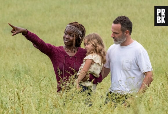 The Walking Dead saison 9 : Rick et Michonne heureux en amour cette année