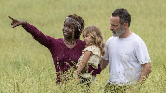 The Walking Dead saison 9 : Rick et Michonne heureux en amour cette année