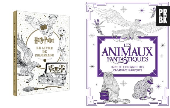 Nos idées de cadeaux de Noël 2018 : les livres de coloriages Harry Potter
