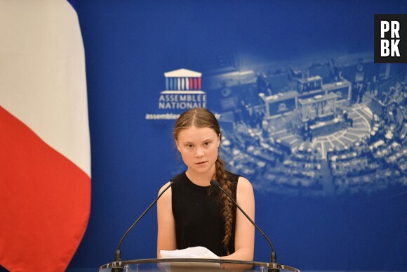 Greta Thunberg : ce qu'il faut retenir de son discours à l'Assemblée nationale