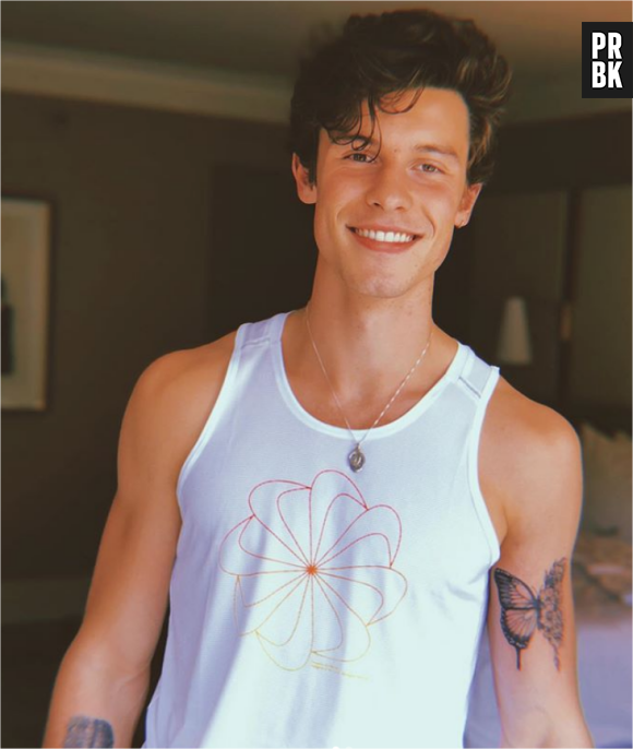 Shawn Mendes : son nouveau tatouage inspiré par une fan