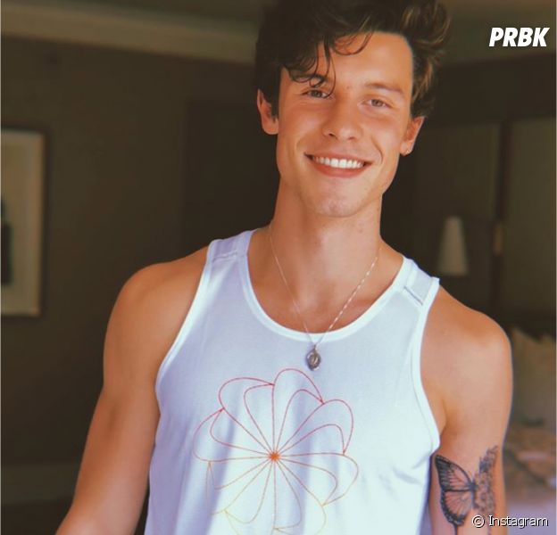 Shawn Mendes : son nouveau tatouage inspiré par une fan