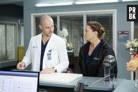 Cormac Hayes (Richard Flood) face à Meredith (Ellen Pompeo) dans Grey's Anatomy