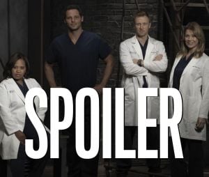 Grey's Anatomy saison 16 : un personnage culte sur le point de mourir ? L'épisode 19 inquiète