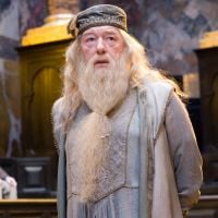 Harry Potter 6 : pourquoi la scène des funérailles de Dumbledore n'est pas dans le film ?