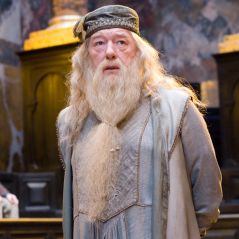 Harry Potter 6 : pourquoi la scène des funérailles de Dumbledore n'est pas dans le film ?