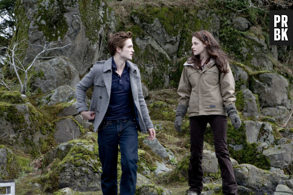 Twilight : Stephenie Meyer prépare deux autres romans