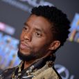 Mort de Chadwick Boseman : l'hommage touchant rendu aux MTV VMA 2020