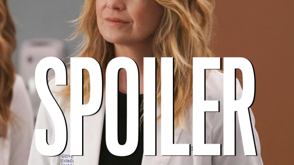 Grey's Anatomy saison 17 : (SPOILER) juste de passage ou de retour dans la suite ?