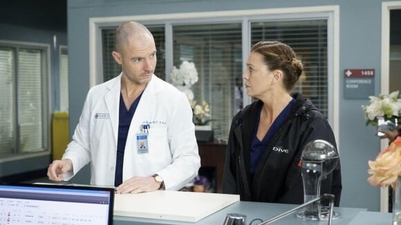 Grey's Anatomy saison 18 : Meredith et Hayes en couple ? Pas impossible