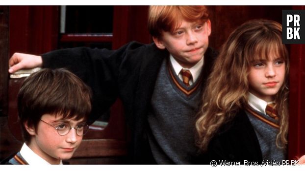 Le Vrai ou Faux Harry Potter par PRBK. QUIZ Harry Potter : le quiz ultime pour prouver que vous connaissez VRAIMENT les livres !