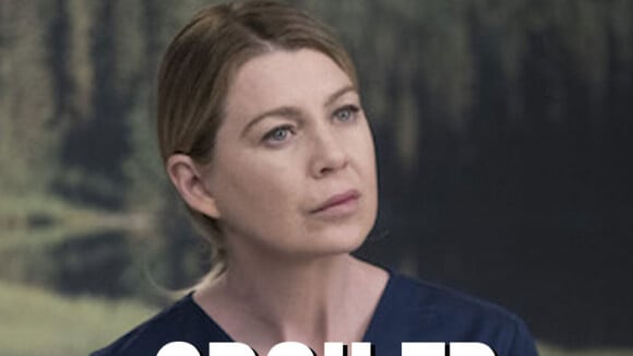 Grey's Anatomy saison 17 : les acteurs de retour dans l'épisode 10 n'ont pas tourné ensemble (et ça casse tout)