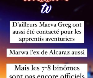 Selon Wassim TV, Greg Yega et Maëva Ghennam ont été contactés.