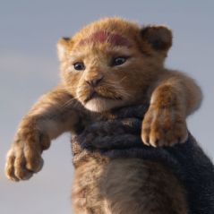 Le Roi Lion 2 : ce que l'on sait sur la suite du remake du film culte