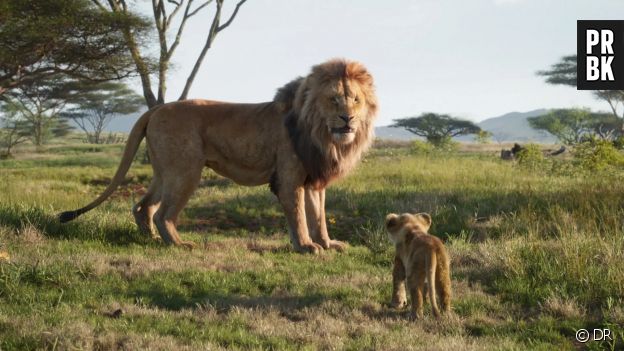 Le Roi Lion renaît en série - La suite du film culte de Disney