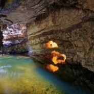 Ces créatures très rares ont été découvertes dans 2 grottes en Ecosse