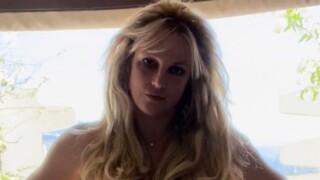 Britney Spears nue pour "l'acte législatif de [sa] chatte" : personne n'y comprend rien, à part qu'elle ne parle pas de l'animal