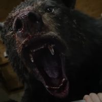 Ce film sur un ours sous coke s&#039;annonce comme le plus gros délire de 2023 (et c&#039;est presque une histoire vraie)