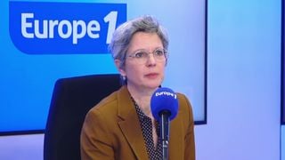 "Sandrine Rousseau sans soutif" : un humoriste dérape, la députée écologiste le recadre sèchement