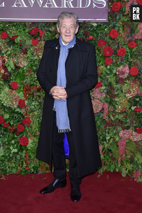 Sir Ian McKellen - 64ème soirée annuelle des Standard Theatre Awards au Theatre Royal Drury Lane à Londres, le 18 novembre 2018.