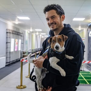 L'Ambassadeur itinérant de l'UNICEF, Orlando Bloom rencontre Patron the Dog, un chien de détection et mascotte du Service national d'urgence d'Ukraine à Irpin, Ukraine, le 26 mars 2023. © Skyba/UNICEF via Bestimage 