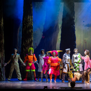 La troupe de Spamalot sur la scène du Théâtre de Paris (2023). Photographe : Thomas Nicolon