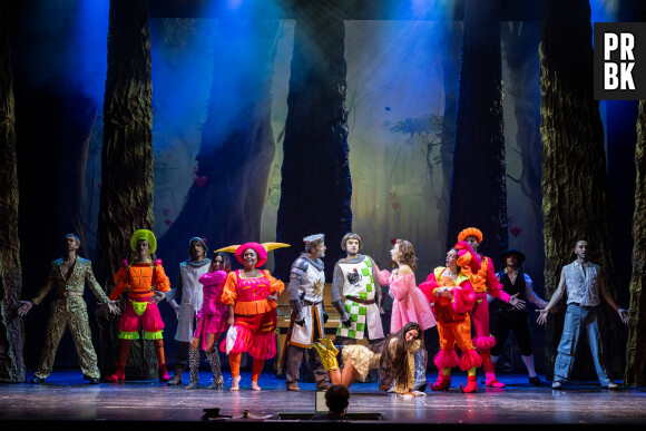 La troupe de Spamalot sur la scène du Théâtre de Paris (2023). Photographe : Thomas Nicolon