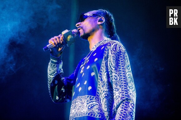 "Après beaucoup de réflexion et de discussions avec ma famille, j'ai décidé d'arrêter de fumer... Merci de respecter ma vie privée pour le moment", a-t-il déclaré.
Snoop Dogg en concert à Birmingham, le 28 mars 2023.