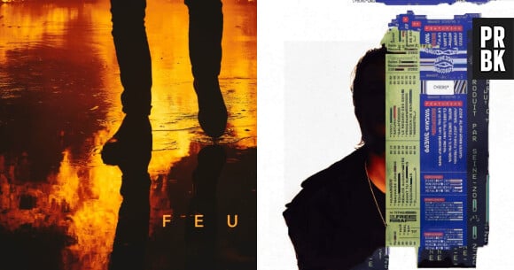 Samedi 2 décembre 2023, les deux premiers albums du rappeur, Feu et Cyborg, ont disparu des plateformes de streaming.
Cover "Feu" et "Cyborg" de Nekfeu.