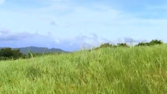 Koh Lanta 2024 : Amri furieux contre Julie ? Il révèle ce qu'il pense vraiment de son "vol" de poignard à l'orientation