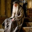 Harry Potter en série : ce célèbre acteur serait en lice pour incarner le nouvel Albus Dumbledore, on valide totalement !