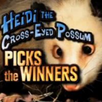 Oscars 2011 ... Heidi l'Oppossum nous donne une partie des gagnants
