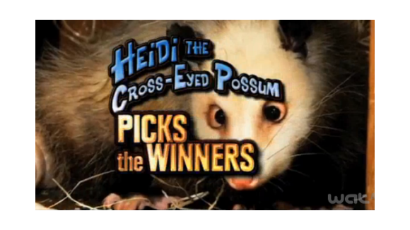 Oscars 2011 ... Heidi l'Oppossum nous donne une partie des gagnants